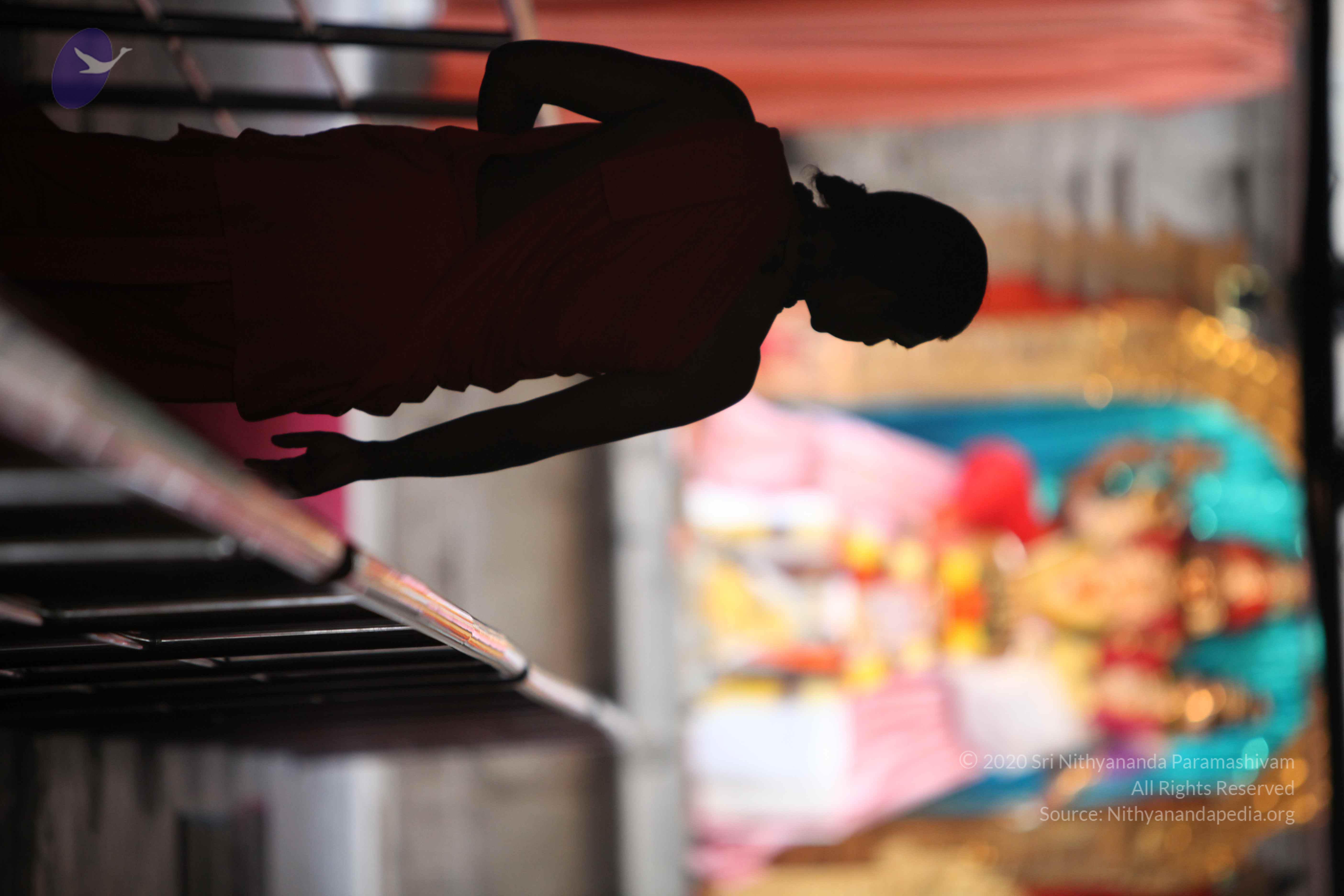 20110225_Photo_1081_IMG_0741_CMP_WM